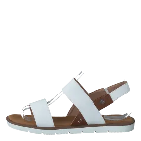 75-99505 White