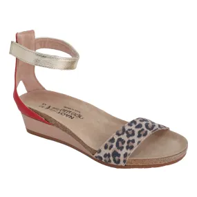 Pixie - Cheetah